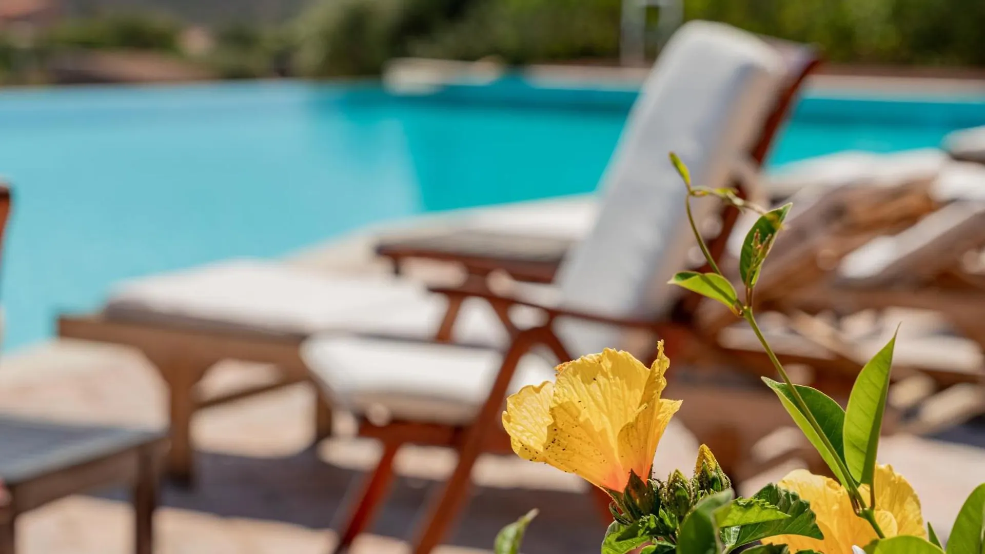 Villa Sogno Indaco Porto San Paolo